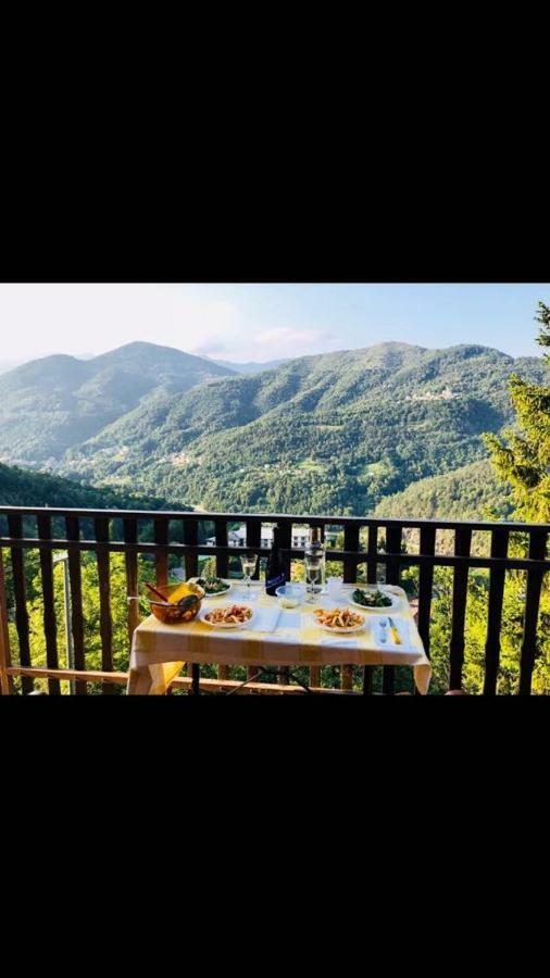 Gold Cave Casa Vacanze Relax Nel Bosco Appartamenti Pessinetto Экстерьер фото