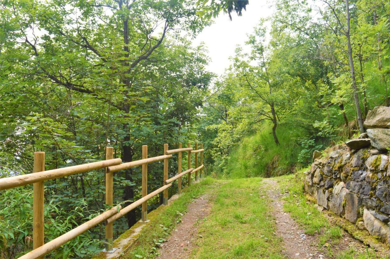 Gold Cave Casa Vacanze Relax Nel Bosco Appartamenti Pessinetto Экстерьер фото