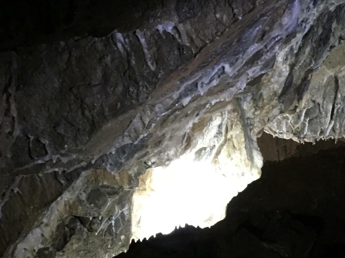 Gold Cave Casa Vacanze Relax Nel Bosco Appartamenti Pessinetto Экстерьер фото