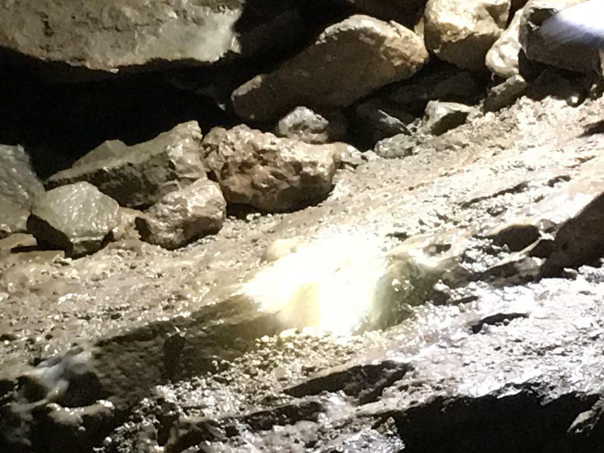 Gold Cave Casa Vacanze Relax Nel Bosco Appartamenti Pessinetto Экстерьер фото
